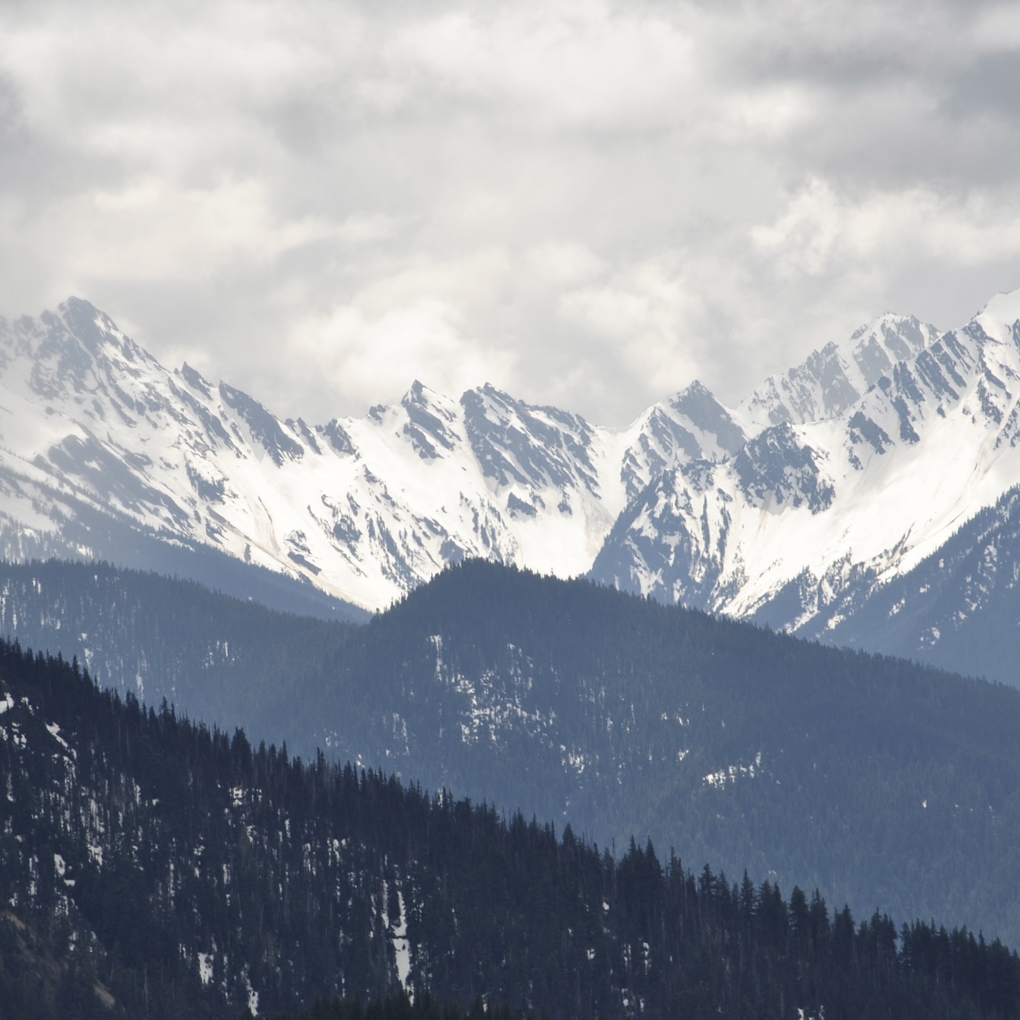 DSC_0277.jpg