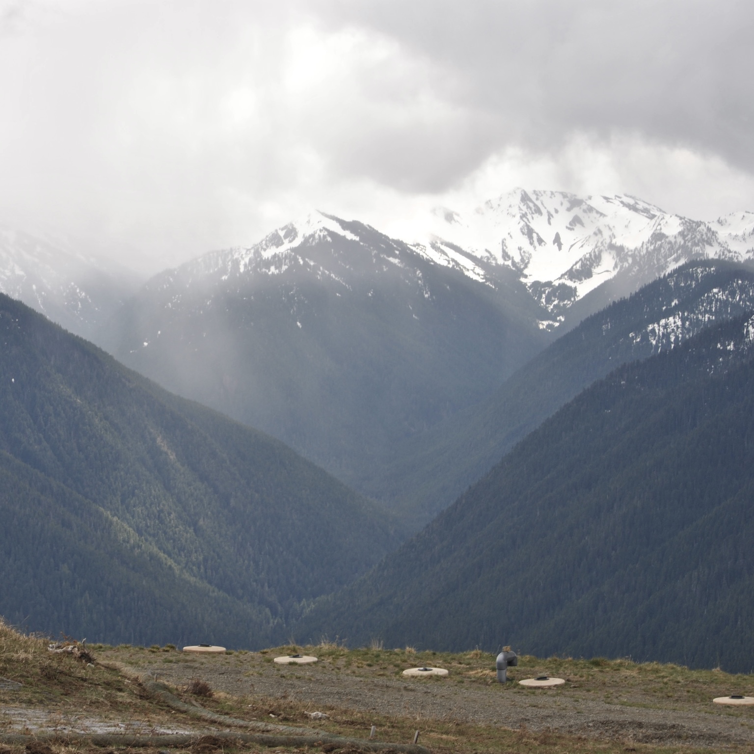 DSC_0279.jpg