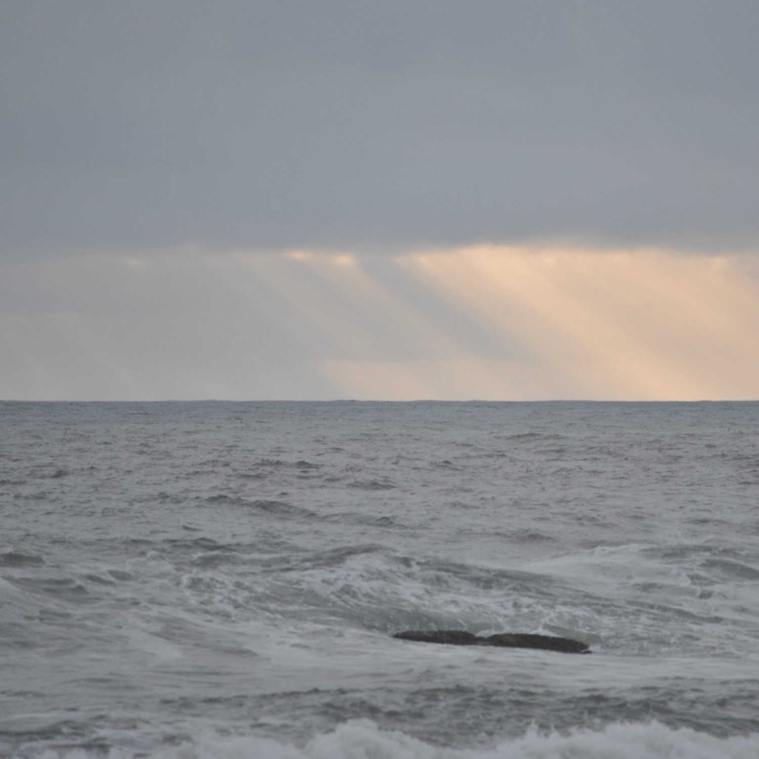 DSC_0386.jpg