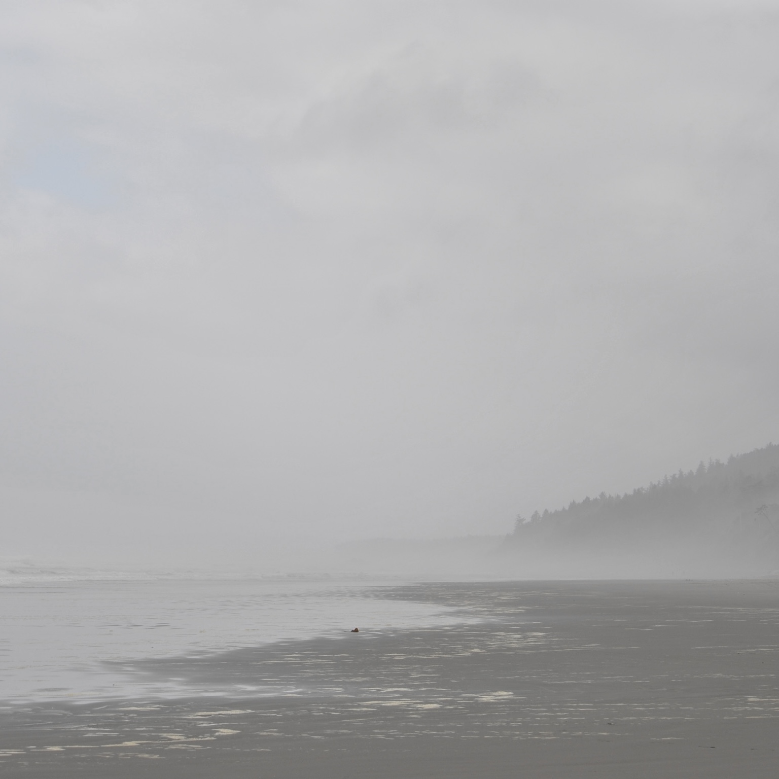 DSC_0489.jpg