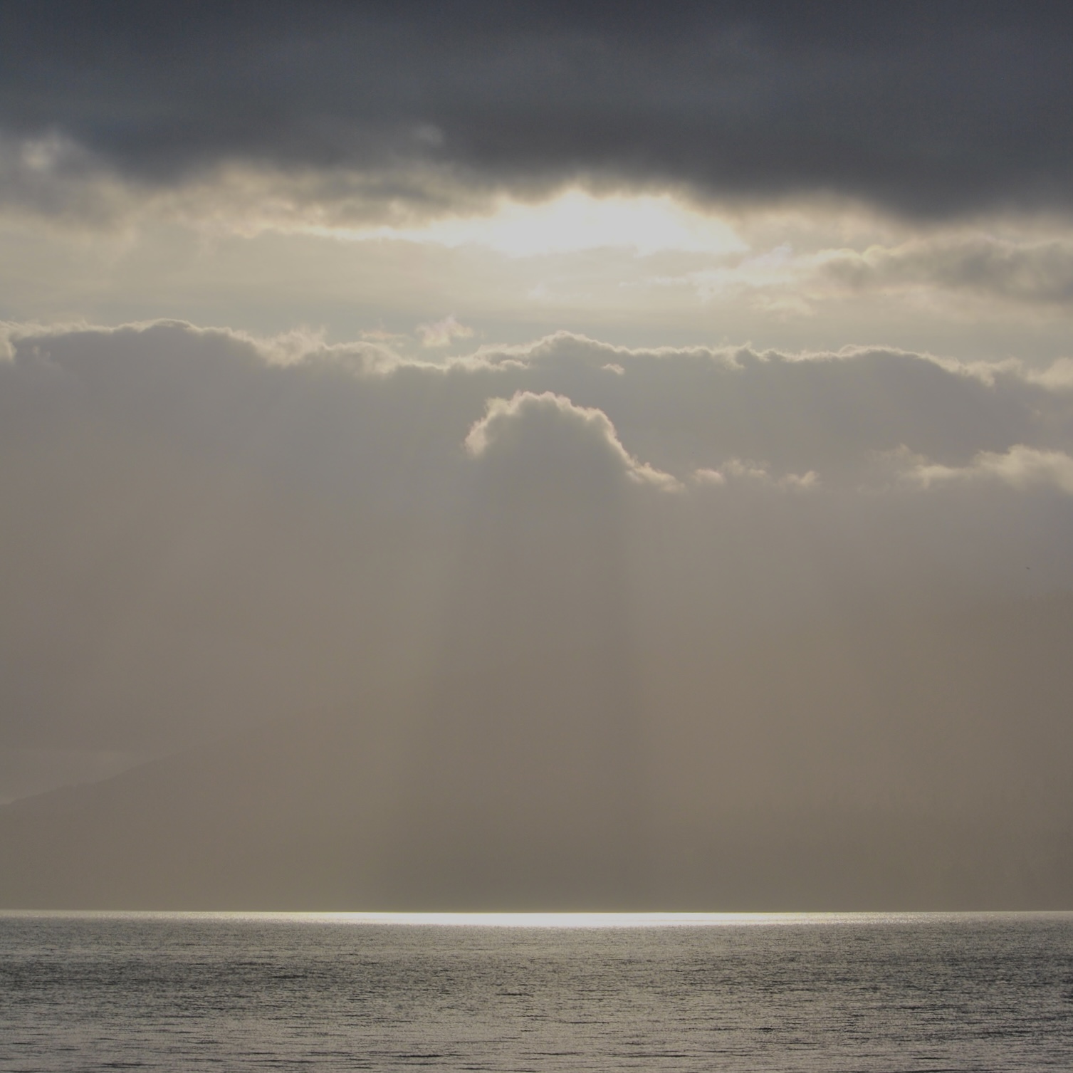 DSC_0551.jpg