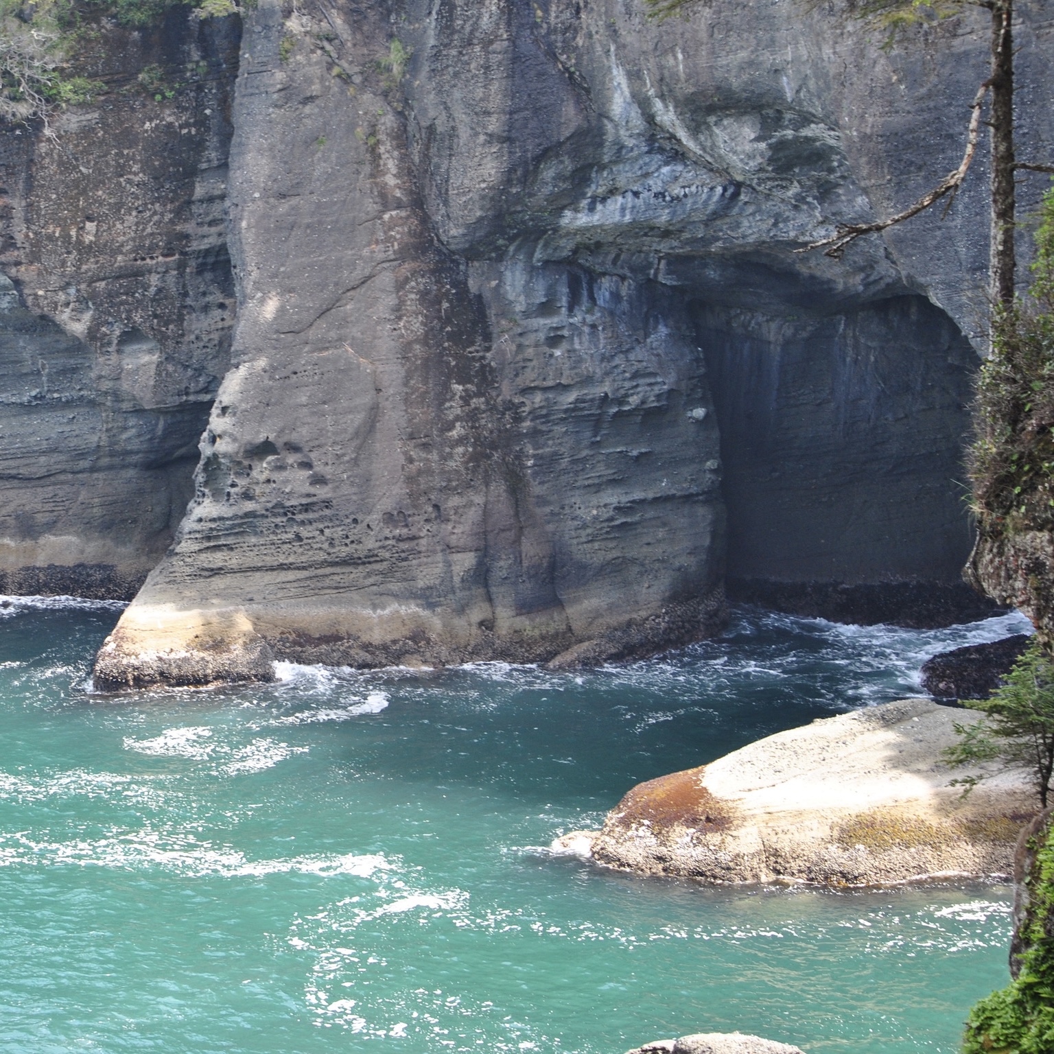 DSC_0565.jpg